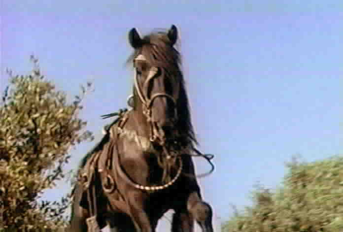 Toronado is Zorro's horse