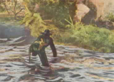 Zorro swims ashore after escaping from the water tank.